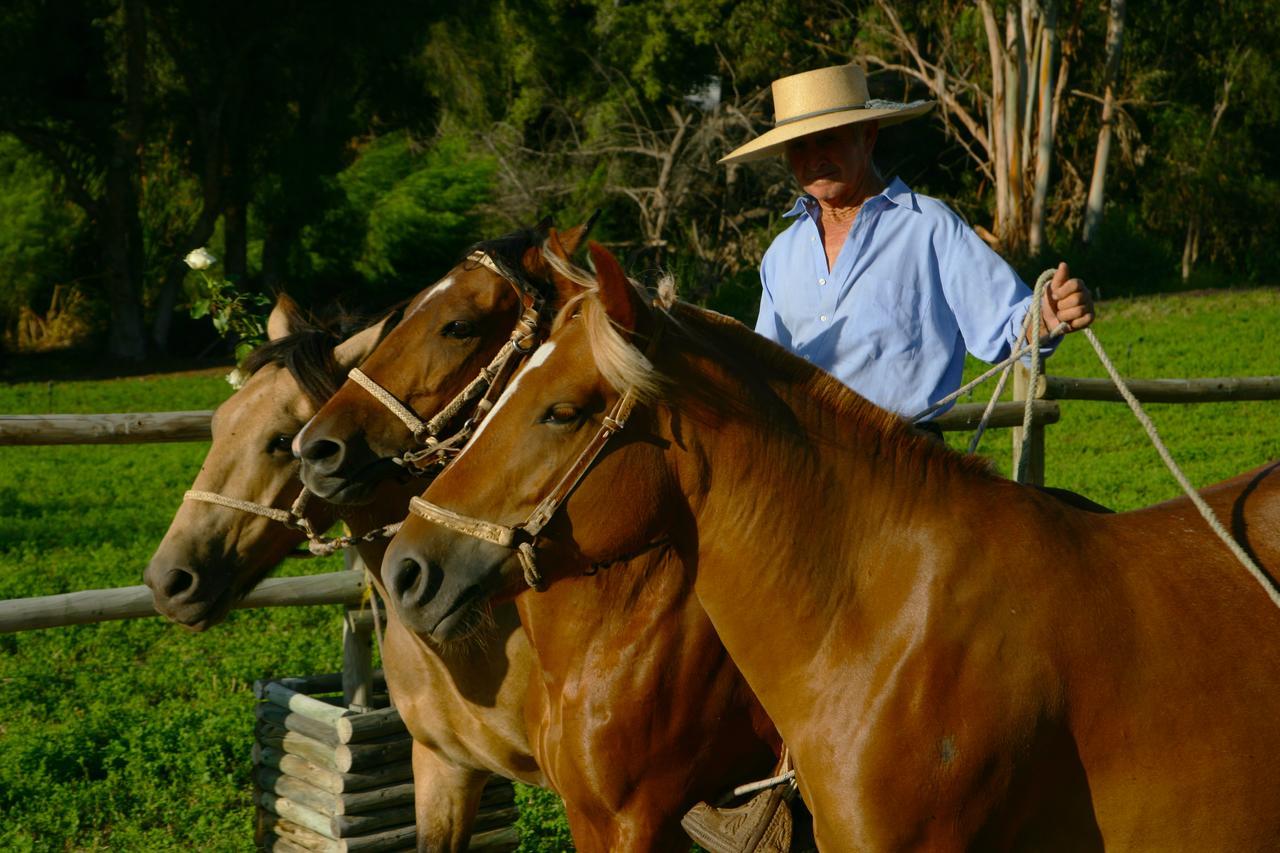 Hacienda Santa Cristina Hotel Ovalle Luaran gambar