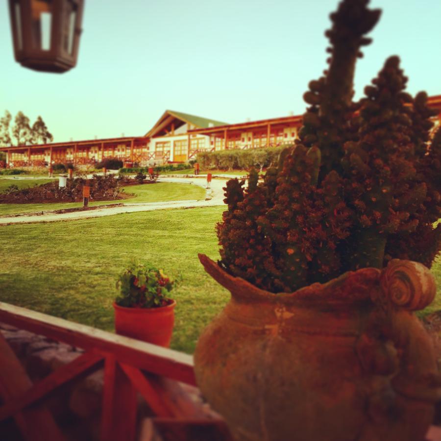 Hacienda Santa Cristina Hotel Ovalle Luaran gambar