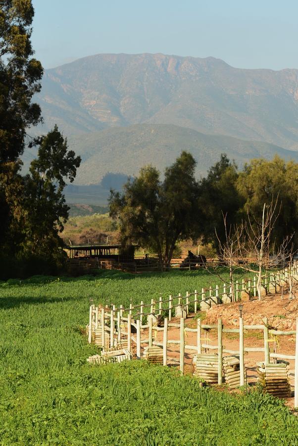 Hacienda Santa Cristina Hotel Ovalle Luaran gambar